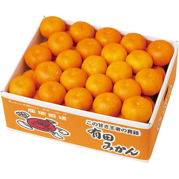 【冬ギフト】和歌山県産 有田みかん