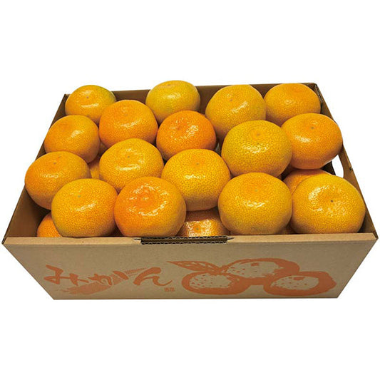 【冬ギフト】福岡県産 糸島みかん