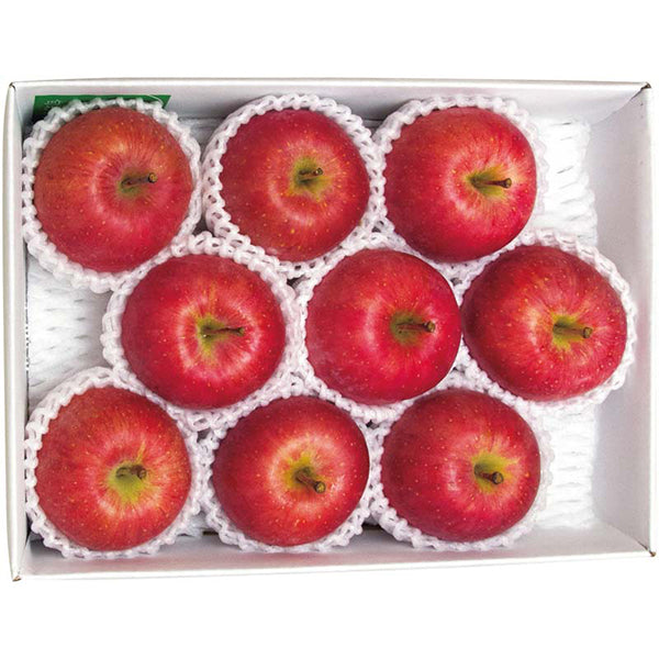 【冬ギフト】青森県産 福ちゃんりんご