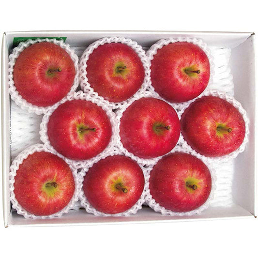 【冬ギフト】青森県産 福ちゃんりんご