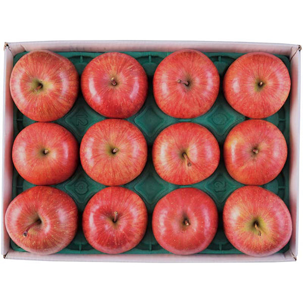 【冬ギフト】JAつがる弘前 蜜入りサンふじりんご（メジャー）