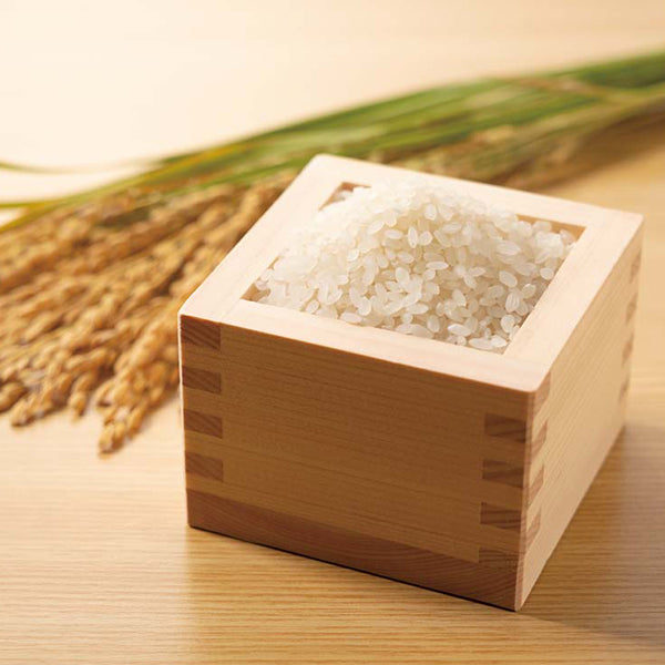 【冬ギフト】山形県産米（はえぬき）