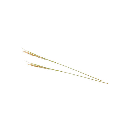 ヤマコー 稲の穂（コシヒカリ）100本入（25237）
