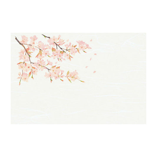 ヤマコー 尺3雲竜和紙懐石まっと 四季 桜 50枚入（64377）