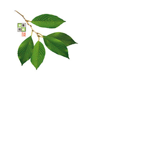 ヤマコー 4寸 抗菌この葉敷紙 桜 100枚入（66782）
