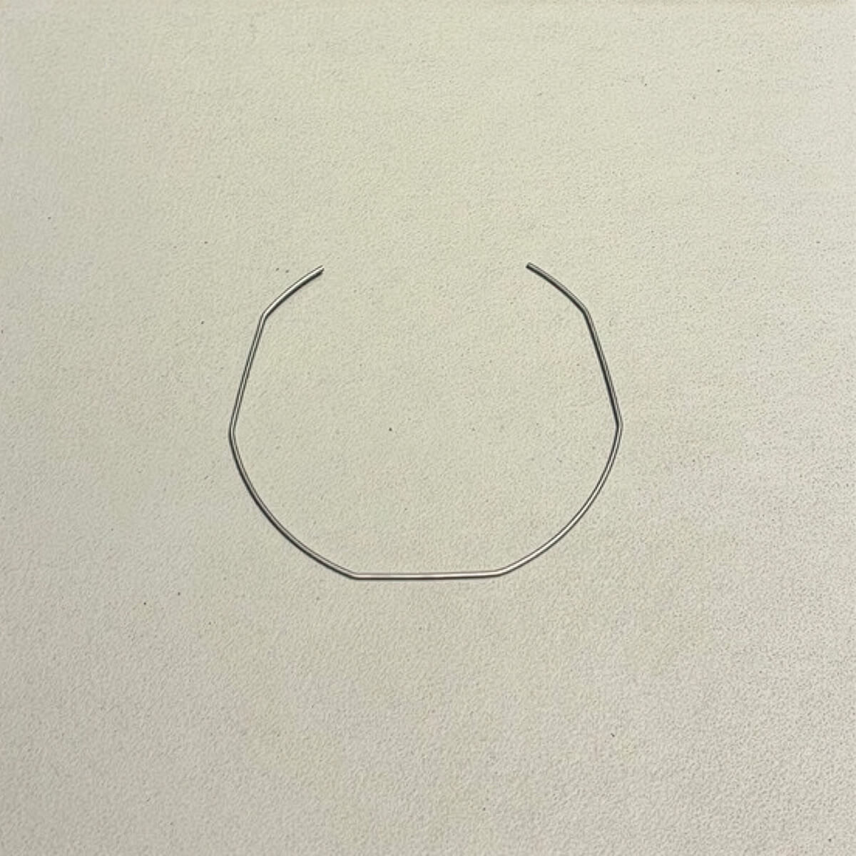 ランチリオ RS1 フィルタースプリング 25105007